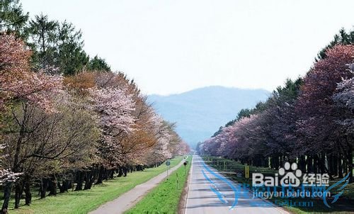 去日本旅游要多少钱