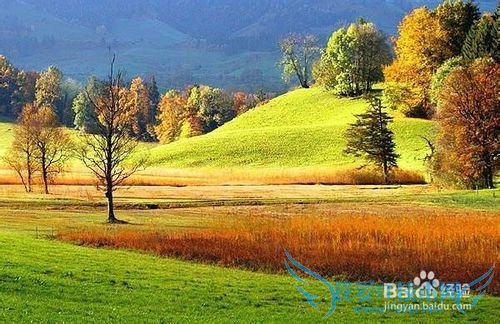 �������ν�����β�ɫ���գ��������������