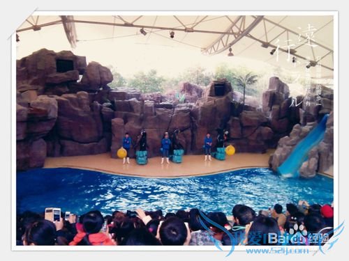 常州中华恐龙园旅游攻略