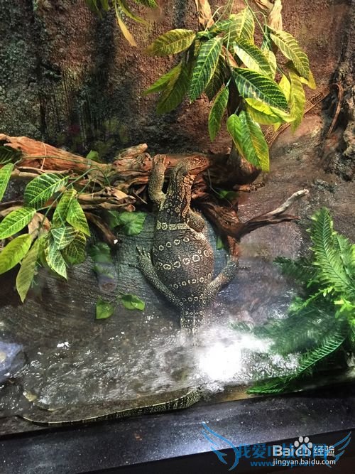 越南芽庄旅游浅谈