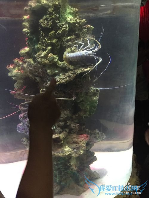 越南芽庄旅游浅谈