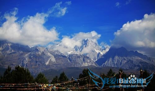 八月份来丽江旅游哪个地方性价比最高