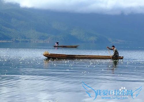 八月份来丽江旅游哪个地方性价比最高