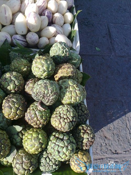 云南旅游饕餮美食