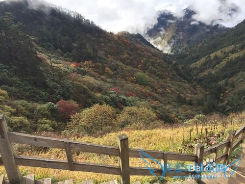 2015���������ѩɽ������