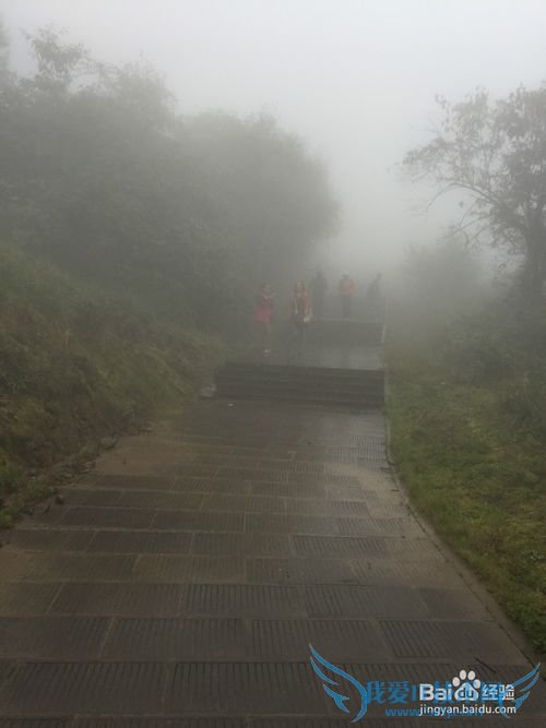 2015���������ѩɽ������