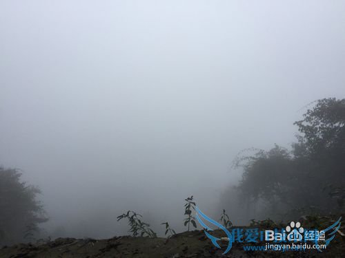 2015���������ѩɽ������