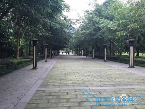 2015���������ѩɽ������