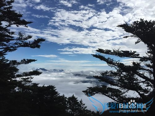 2015���������ѩɽ������