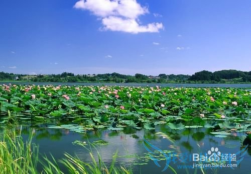 十一黄金周怎么过