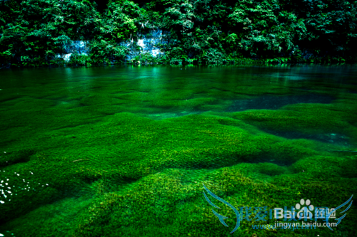 资深遵义人教你玩转红城遵义