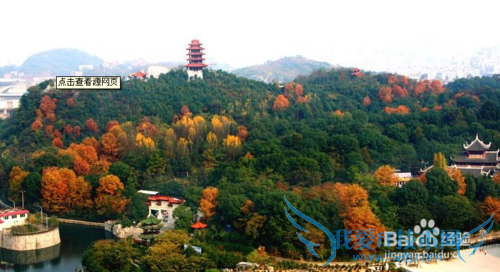 资深遵义人教你玩转红城遵义