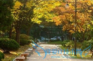 【韩国个人旅游】去韩国首尔旅游路线 攻略2015