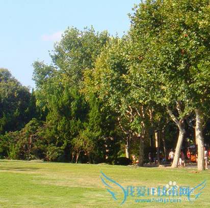 旅游出行的一些省钱妙招