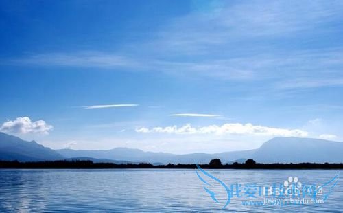 去云南旅游的朋友一定要当心注意这些事情