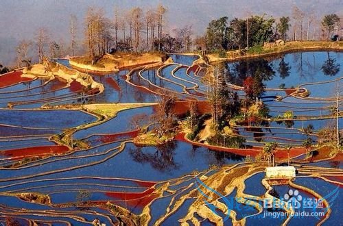 去云南旅游的朋友一定要当心注意这些事情