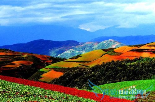 去云南旅游的朋友一定要当心注意这些事情