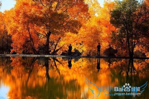 额济纳胡杨林旅游小攻略