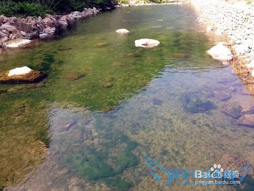 全国各地最佳旅游时间