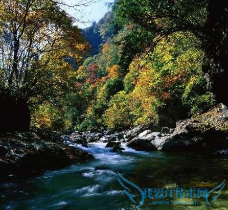 怎样安排湖北旅游的行程