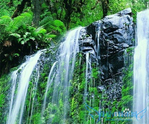 放假旅游应注意什么?