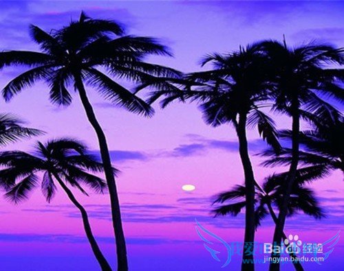 放假旅游应注意什么?