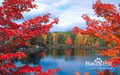 8月日本旅游攻略