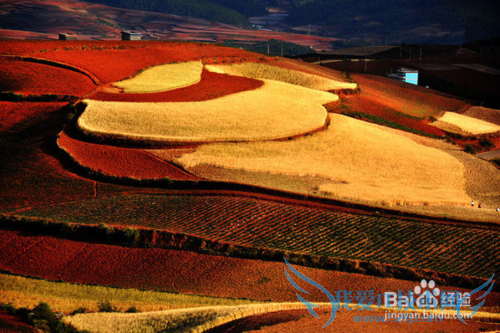 除了丽江大理泸沽湖,很多人都不知道的云南美景