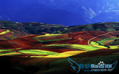 除了丽江大理泸沽湖,很多人都不知道的云南美景