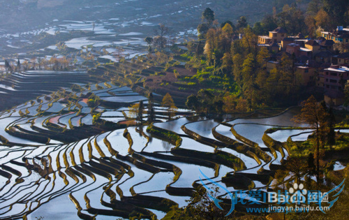 除了丽江大理泸沽湖,很多人都不知道的云南美景