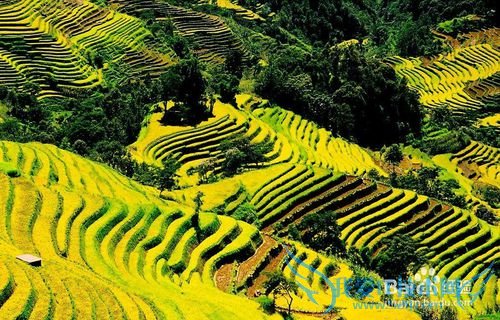 除了丽江大理泸沽湖,很多人都不知道的云南美景