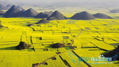 除了丽江大理泸沽湖,很多人都不知道的云南美景