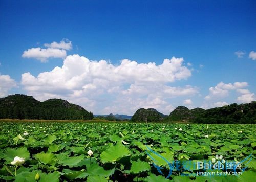 除了丽江大理泸沽湖,很多人都不知道的云南美景