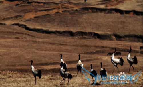 除了丽江大理泸沽湖,很多人都不知道的云南美景
