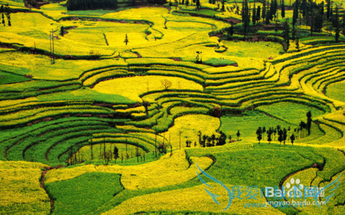 除了丽江大理泸沽湖,很多人都不知道的云南美景