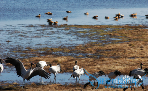除了丽江大理泸沽湖,很多人都不知道的云南美景