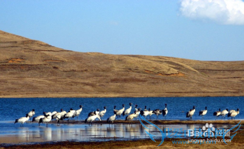 除了丽江大理泸沽湖,很多人都不知道的云南美景