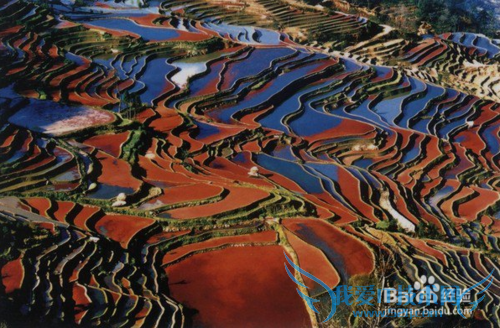 除了丽江大理泸沽湖,很多人都不知道的云南美景