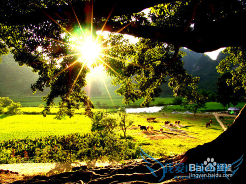 除了丽江大理泸沽湖,很多人都不知道的云南美景