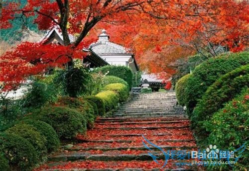 北京香山旅游攻略