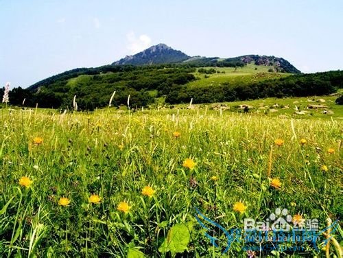 合肥到北京旅游攻略