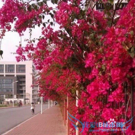 游广州旅游攻略