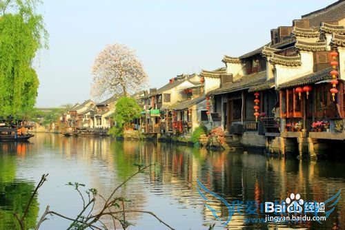 西塘旅游攻略吃货大爱篇