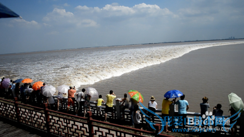 嘉兴旅游最值得去玩的地方景点攻略