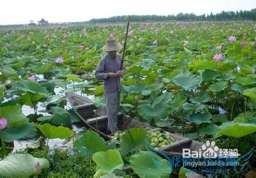 ¹ãÖݵ½Î人ºìÉ«ÂÃÓÎ