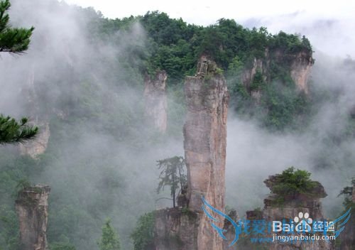 张家界自助游攻略