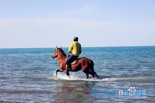 青海省青海湖及德令哈旅游景点攻略,景点介绍