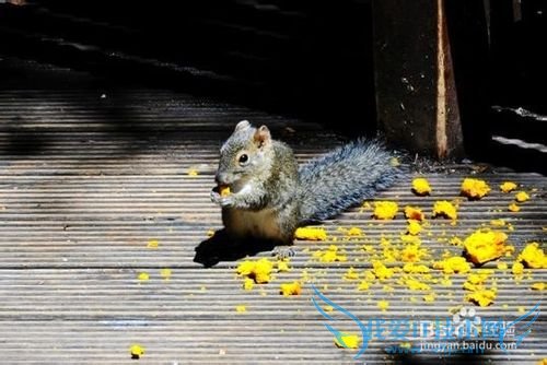 到丽江旅游要多少钱(最强攻略)