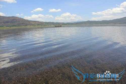 到丽江旅游要多少钱(最强攻略)