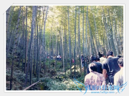 宜兴竹海景点旅游介绍